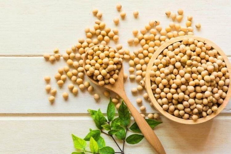 medicalnewstoday.com