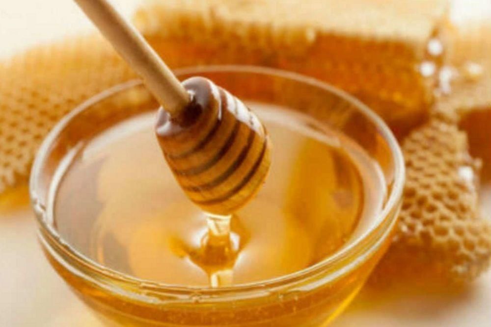 timesofindia.indiatimes.com