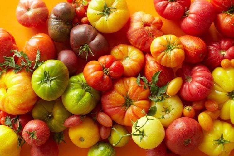 annabellebreakey.com