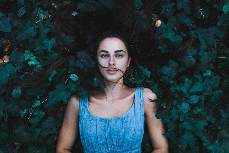 Pixabay.com/Free-Photos