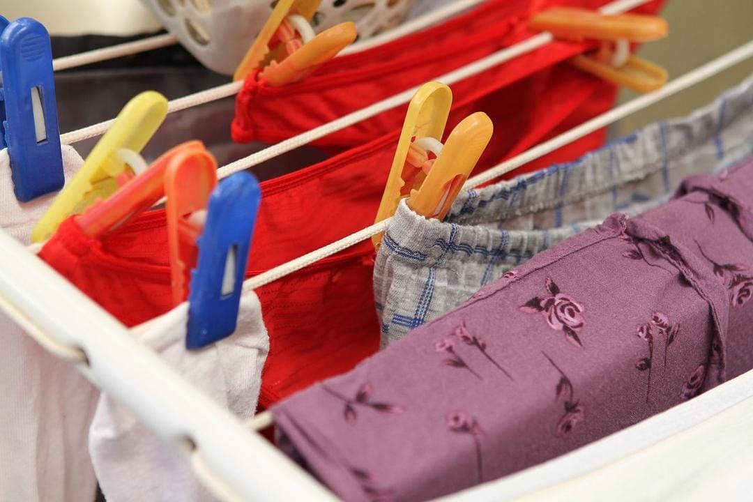 Pixabay.com/Brenda Geisse