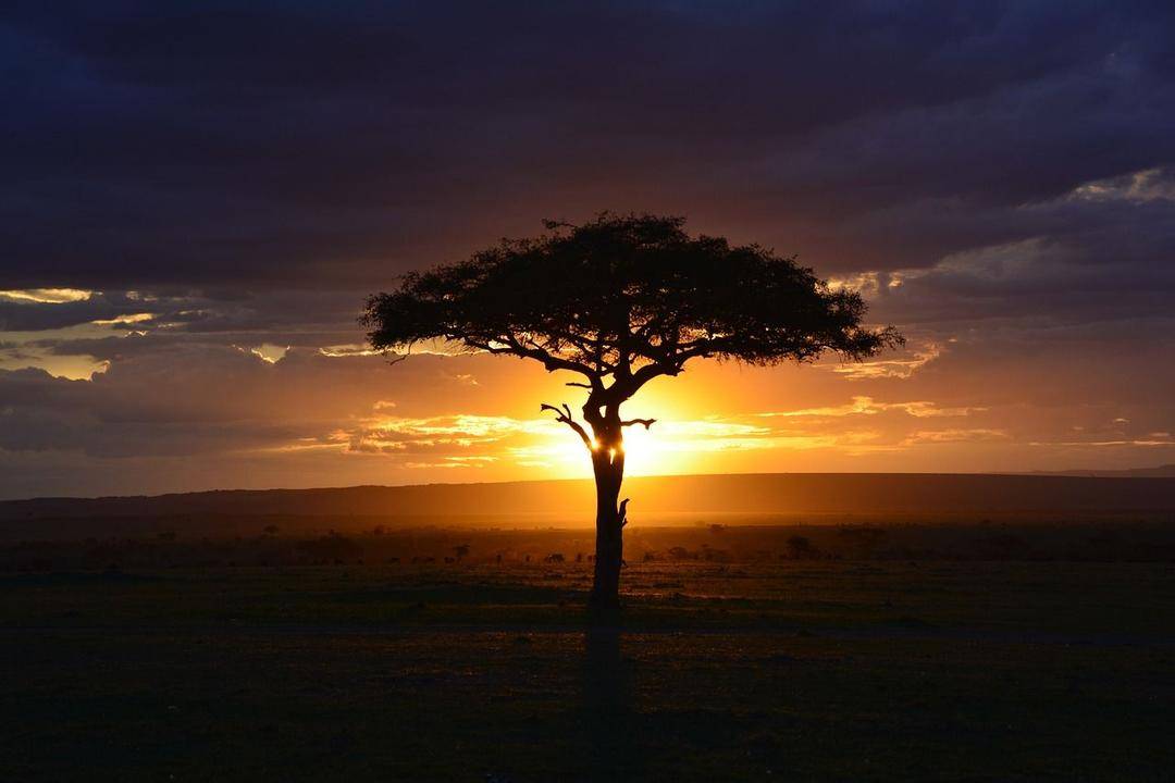 Pixabay.com/Nicola Stockton