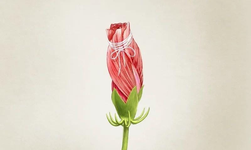 Unsplash.com/Illustration by Jim Cooke