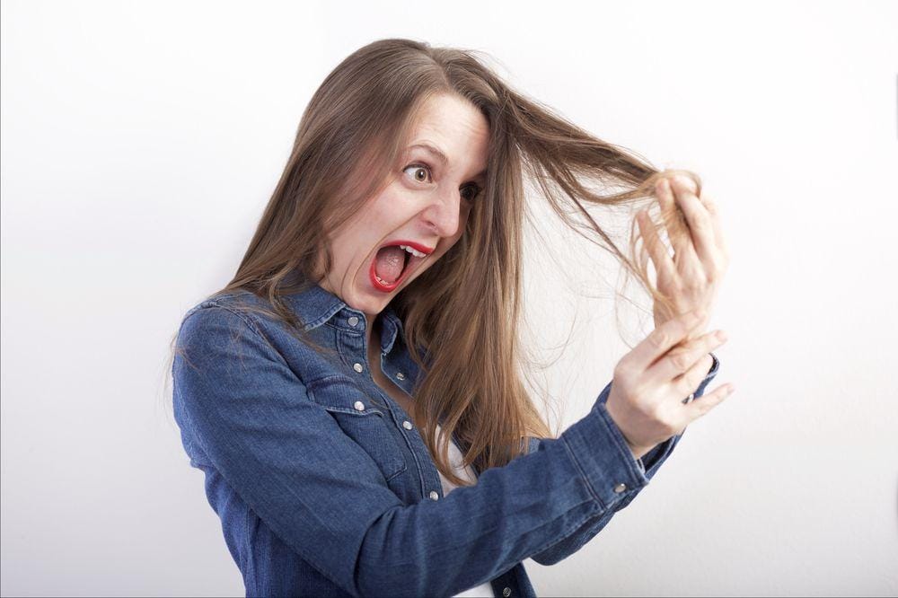 Shutterstock/Stocked House Studio