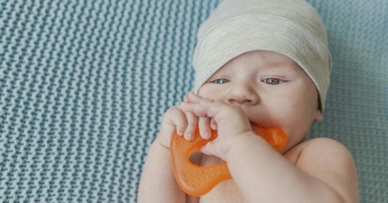 Freepik.com/Dragana Gordic