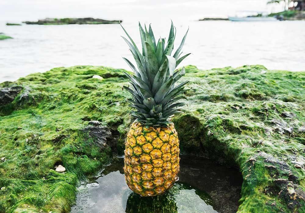 Unsplash.com/Pineapple Supply