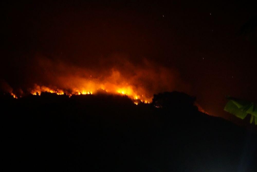Kebakaran Lahan di PPU Meluas, Penajam Jadi Penyumbang Terbesar