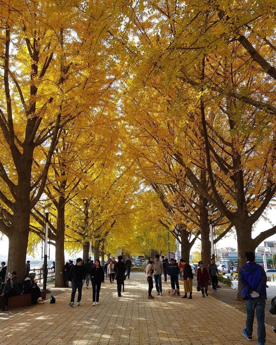 Instagram.com/Diazreock