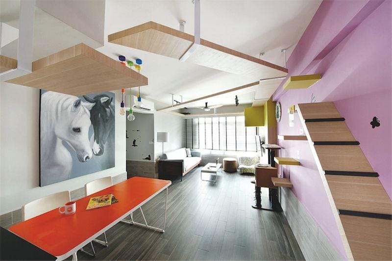 Rumah Idaman untuk Para Pecinta Kucing, Ini 8 Inspirasinya