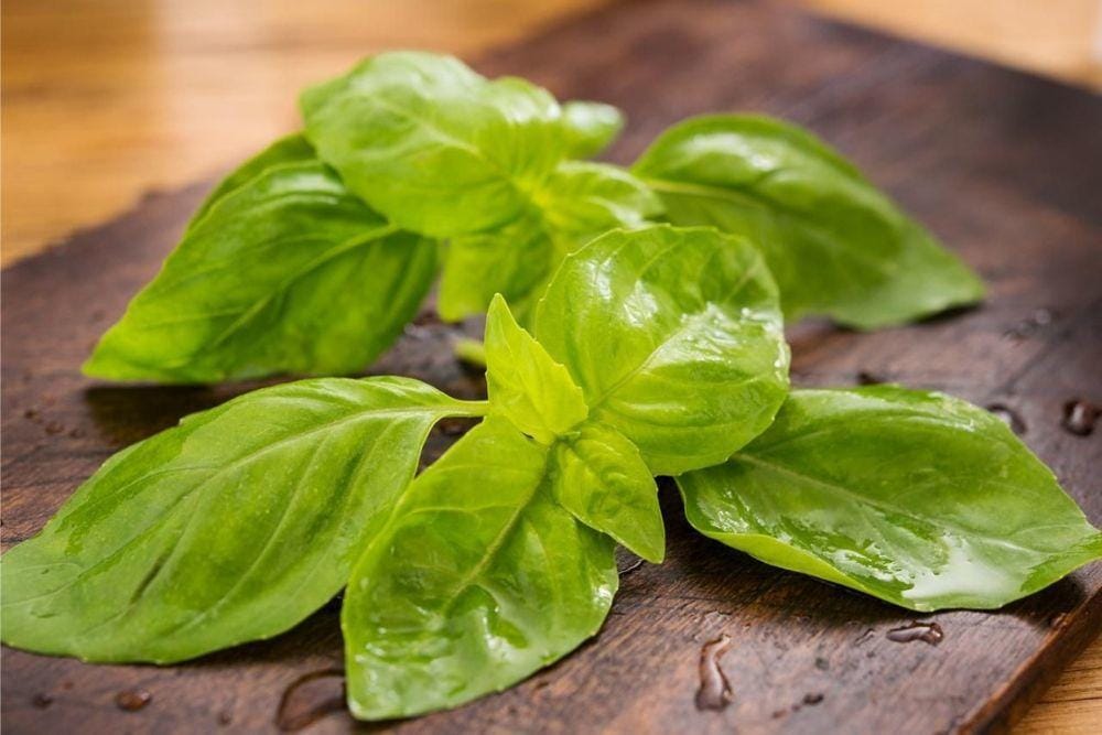 thespruceeats.com