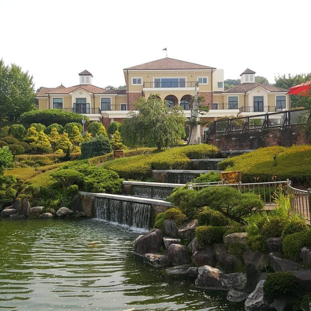 instagram.com/beartreepark