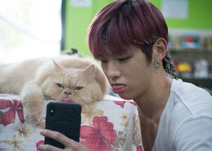 m.entertain.naver.com