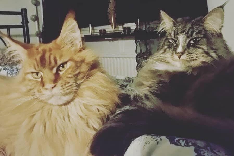 Instagram.com/winsneswilda