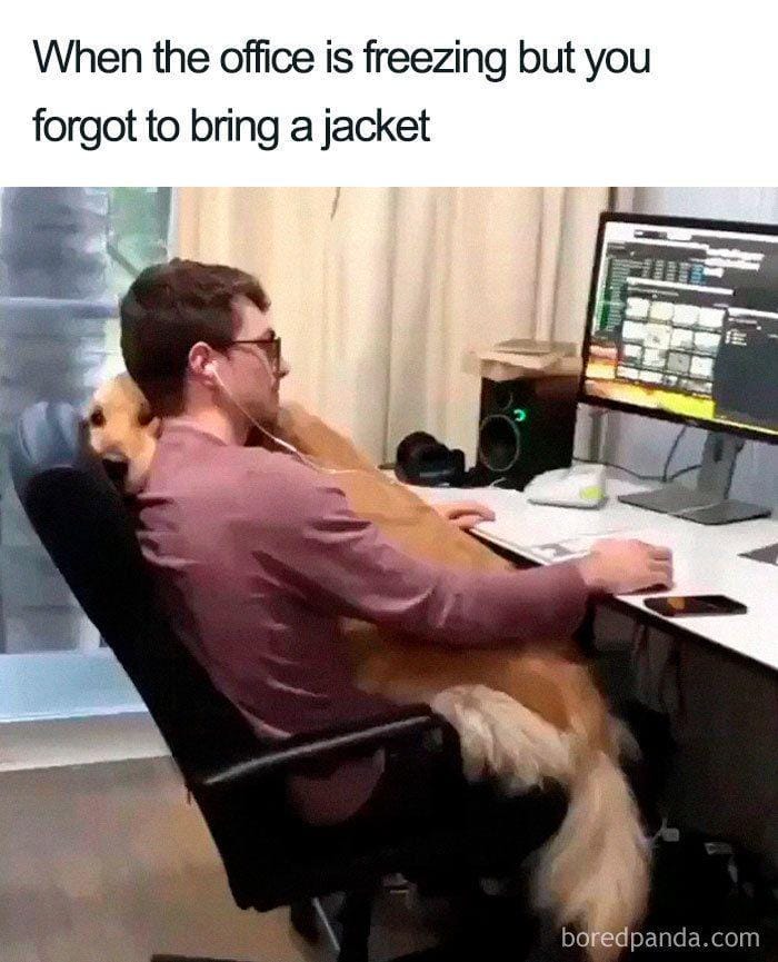 dok.internet