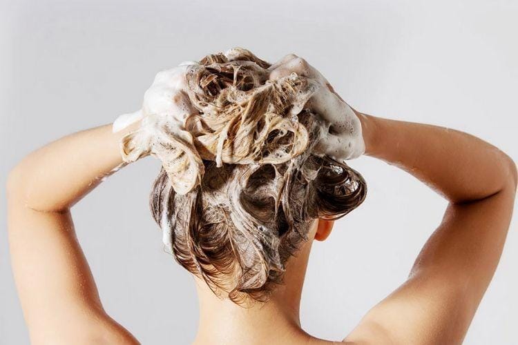 waterliliesandcompany.com