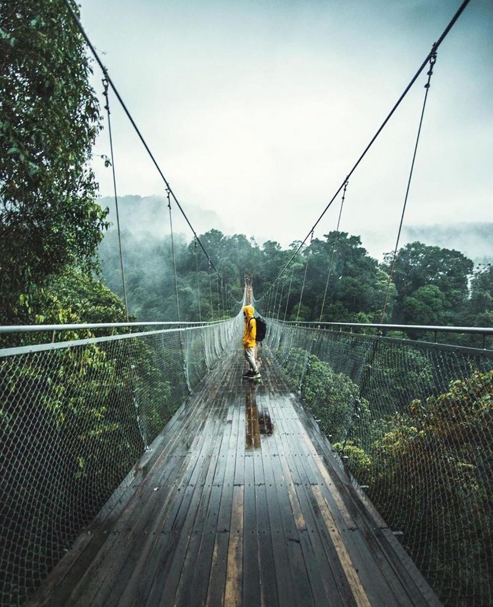 instagram.com/ adoelsohib