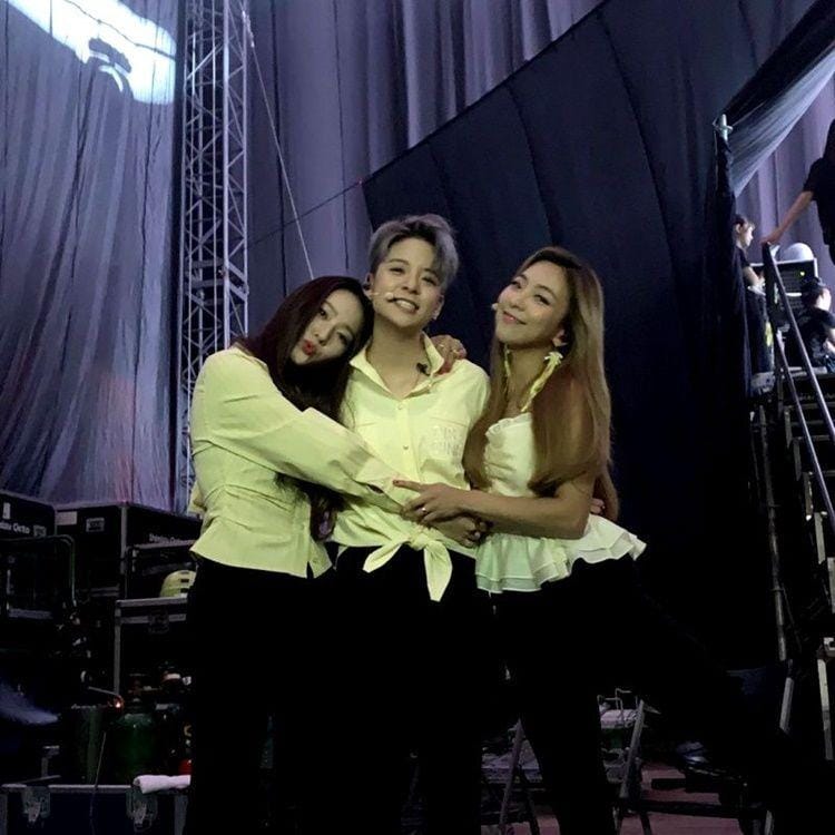 Instagram.com/ajol_ilama