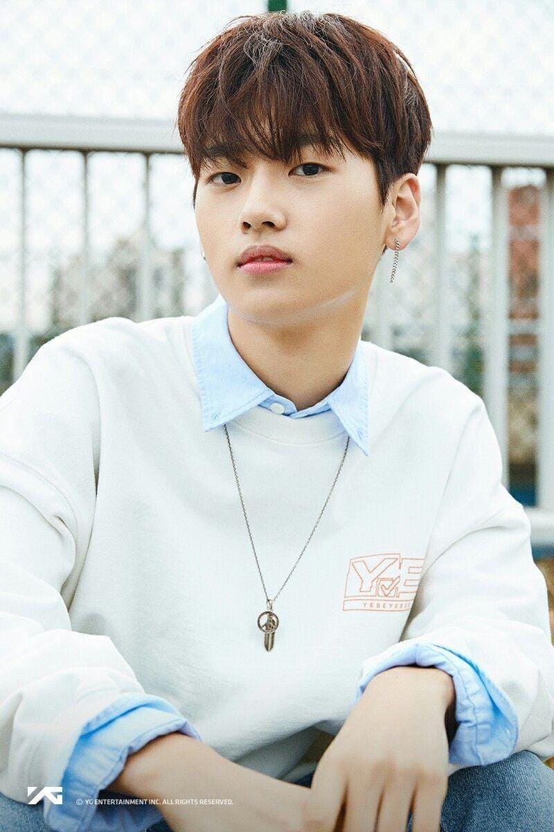 dok. YG Entertainment