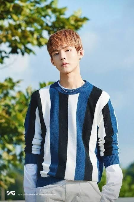 dok. YG Entertainment