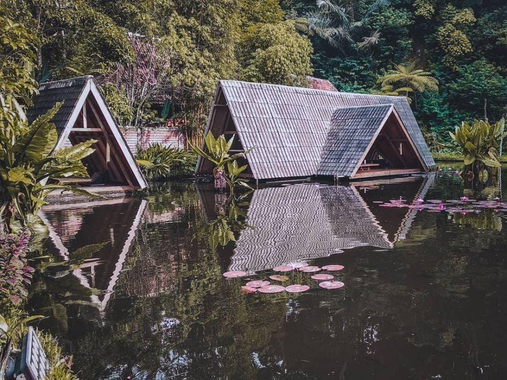 Instagram.com/nauzah