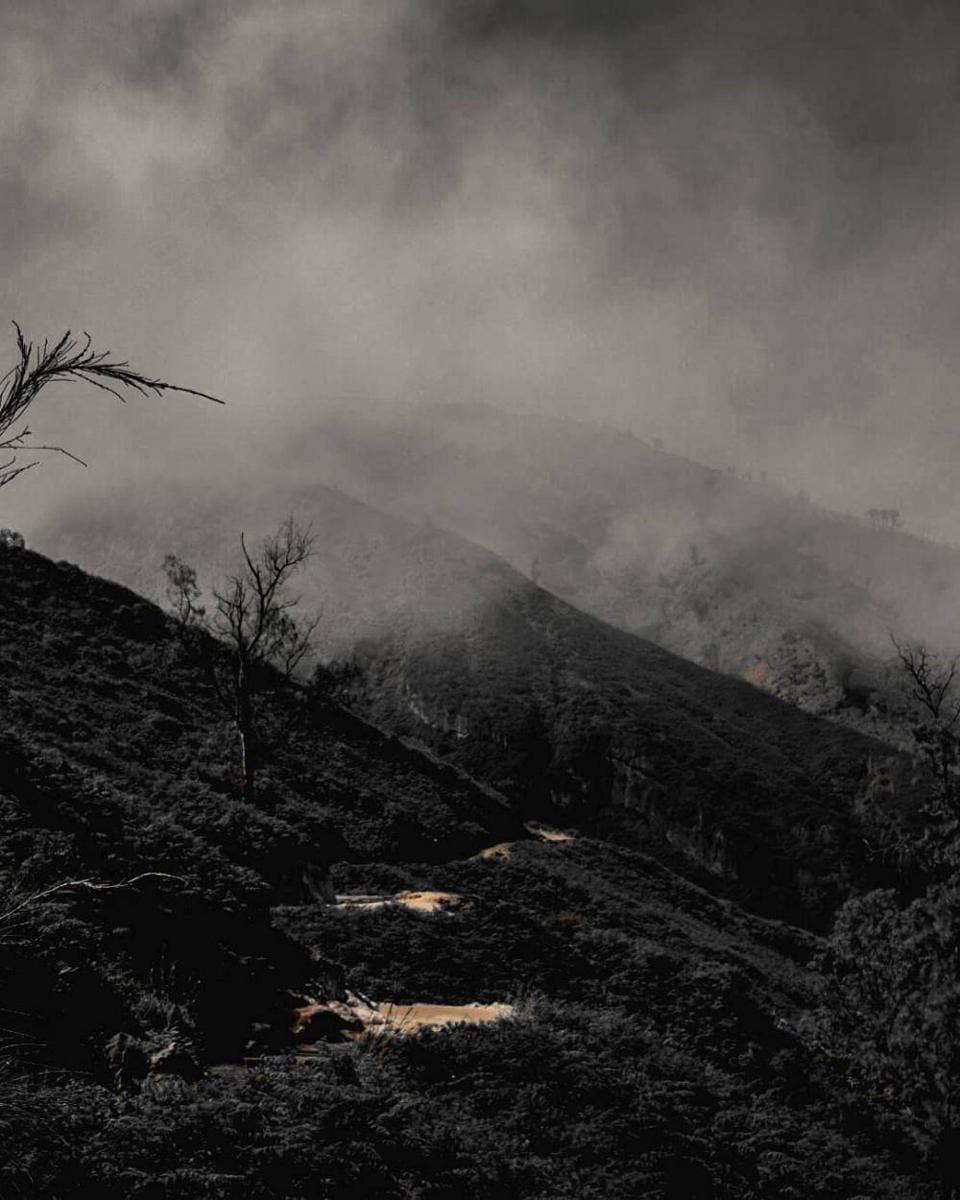 Instagram.com/alanprtama