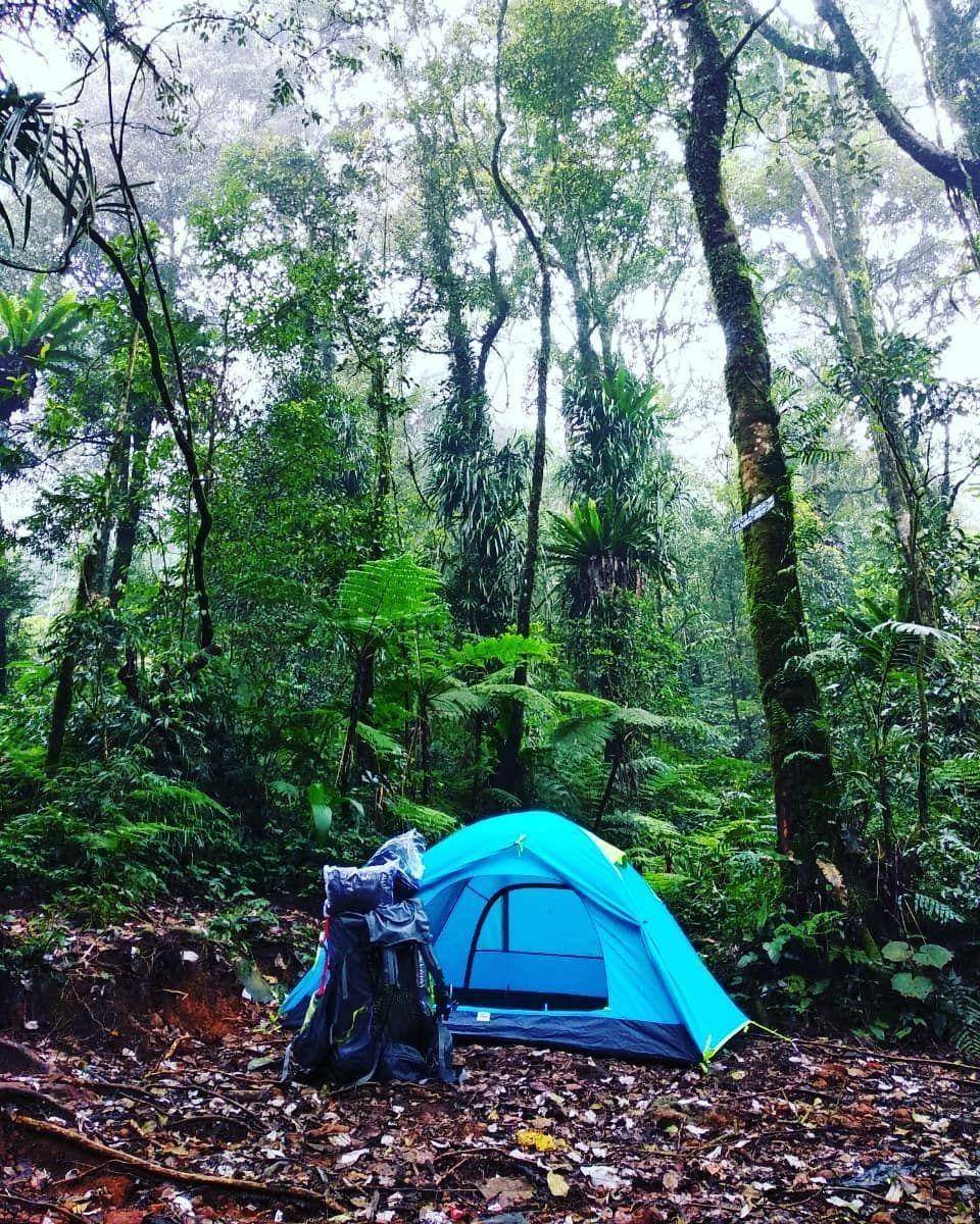 Instagram.com/badru_tamamii