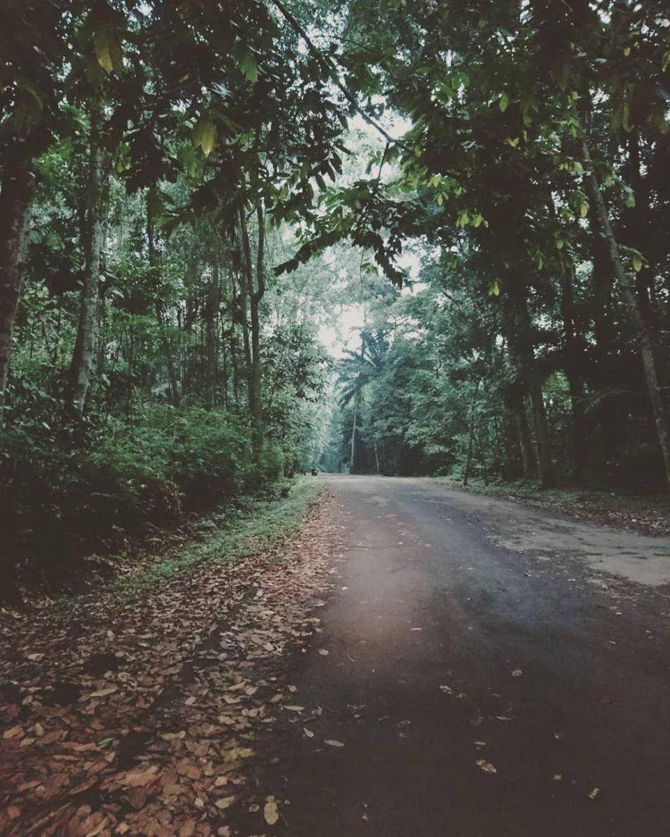 Instagram.com/nando_goodboy