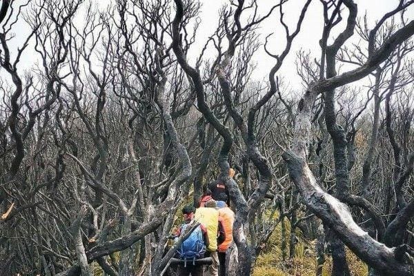 Instagram.com/ajjarya_