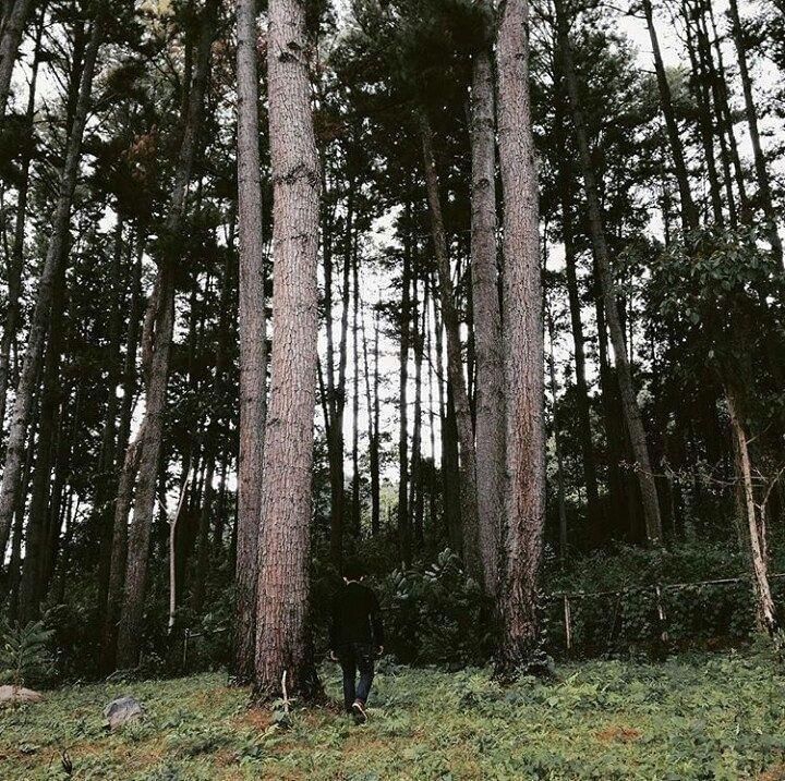 Instagram.com/alvianhsb