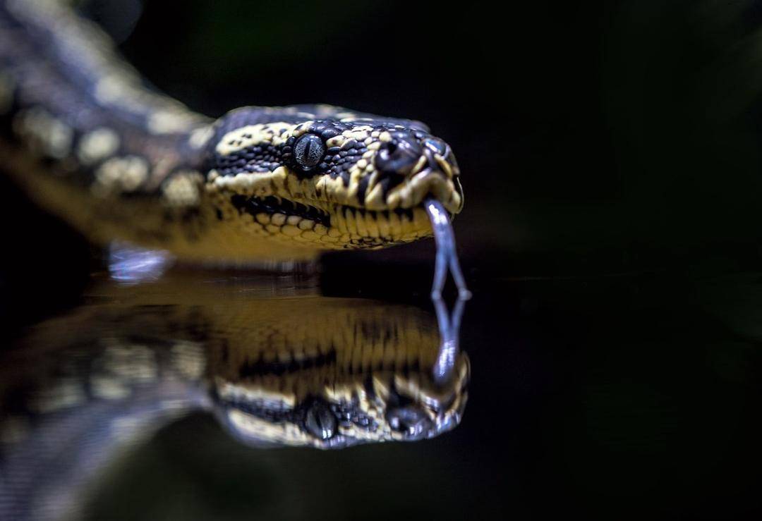 Unsplash.com/David Clode