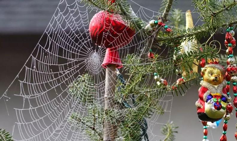 christmasatthelodge.files.wordpress