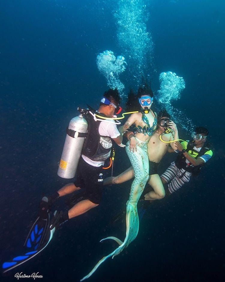 Instagram.com/hartonohosea