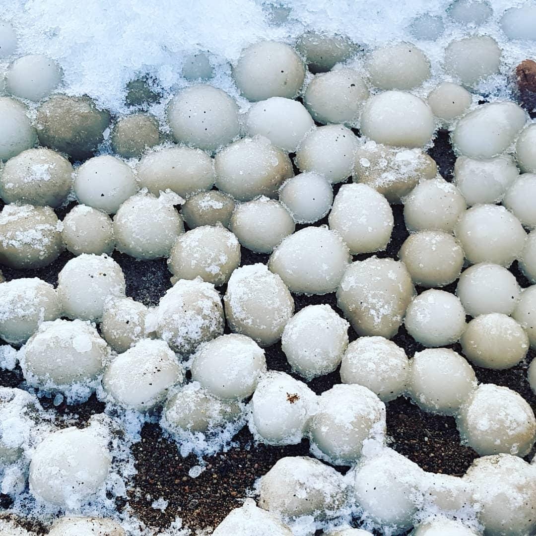 instagram.com/marjaran