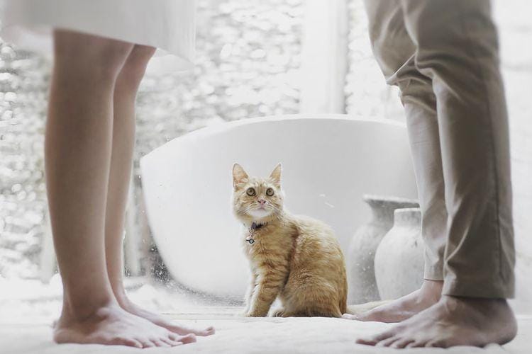 unsplash.com/@hutomoabrianto