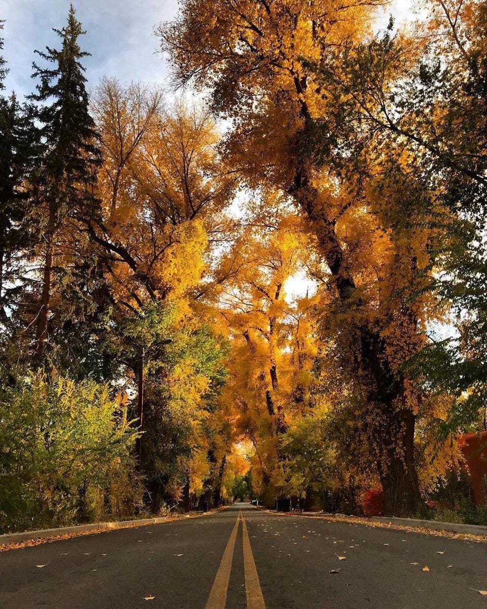 instagram.com/ _bethanymariephotography