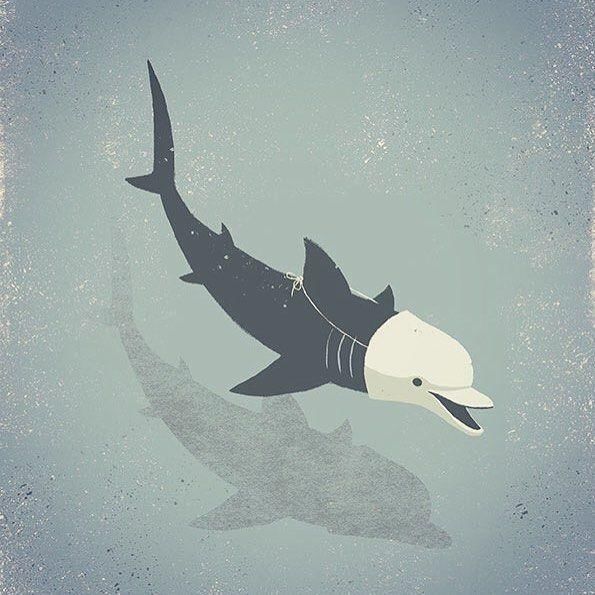 instagram / @davidbonezzi24