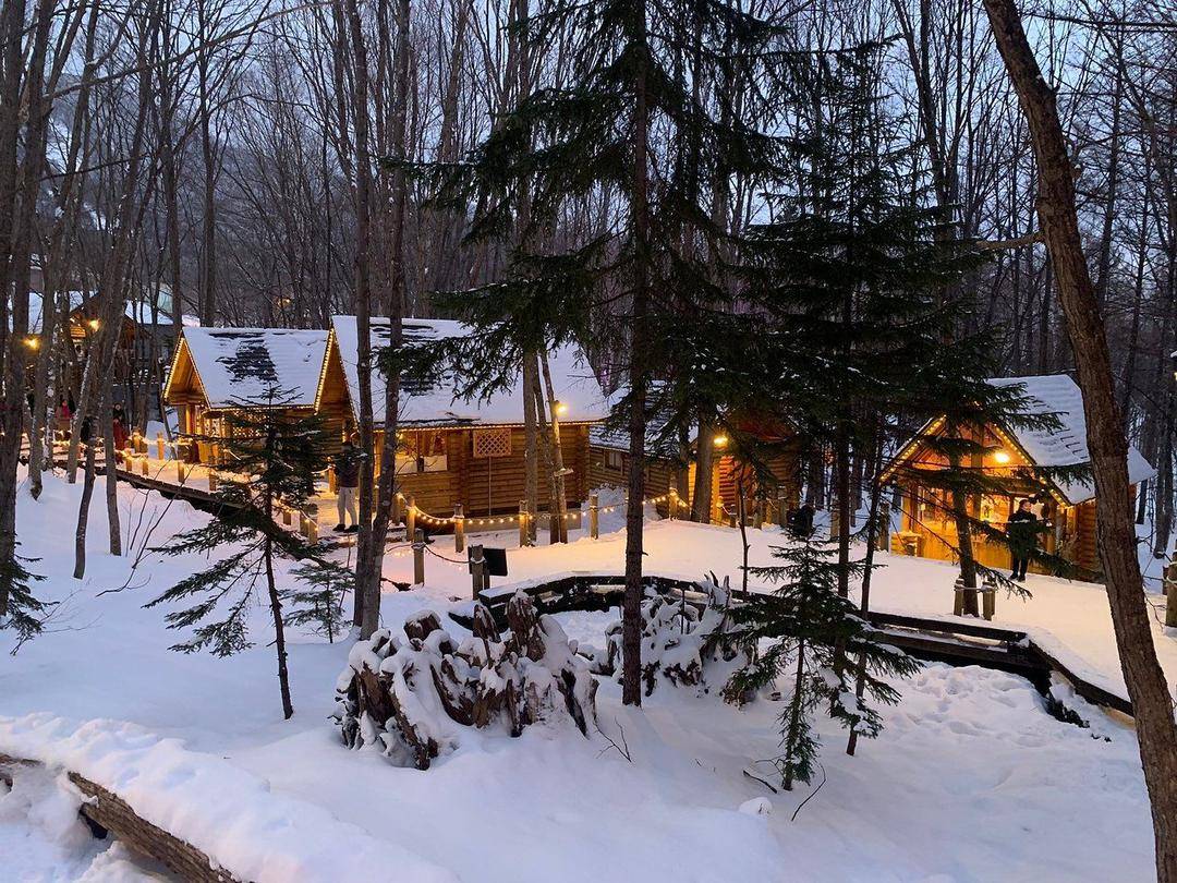 https://www.tripadvisor.com/