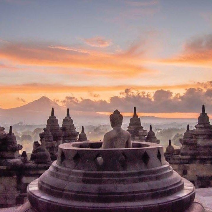 Instagram.com/Ana.japan