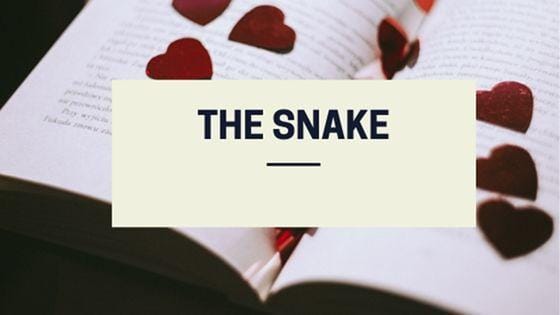 Canva.com