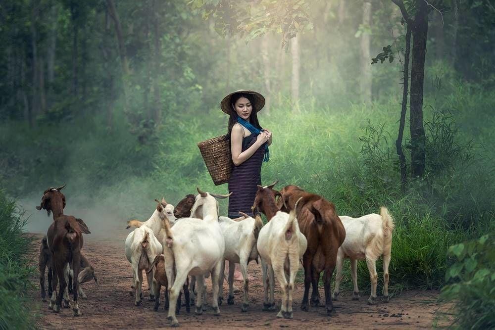 Ramalan Cinta Shio Kambing di Tahun 2020, Nikmati Gairah Baru