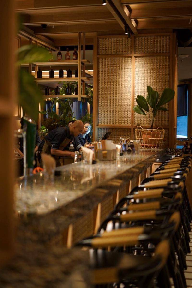 Dok. Social House