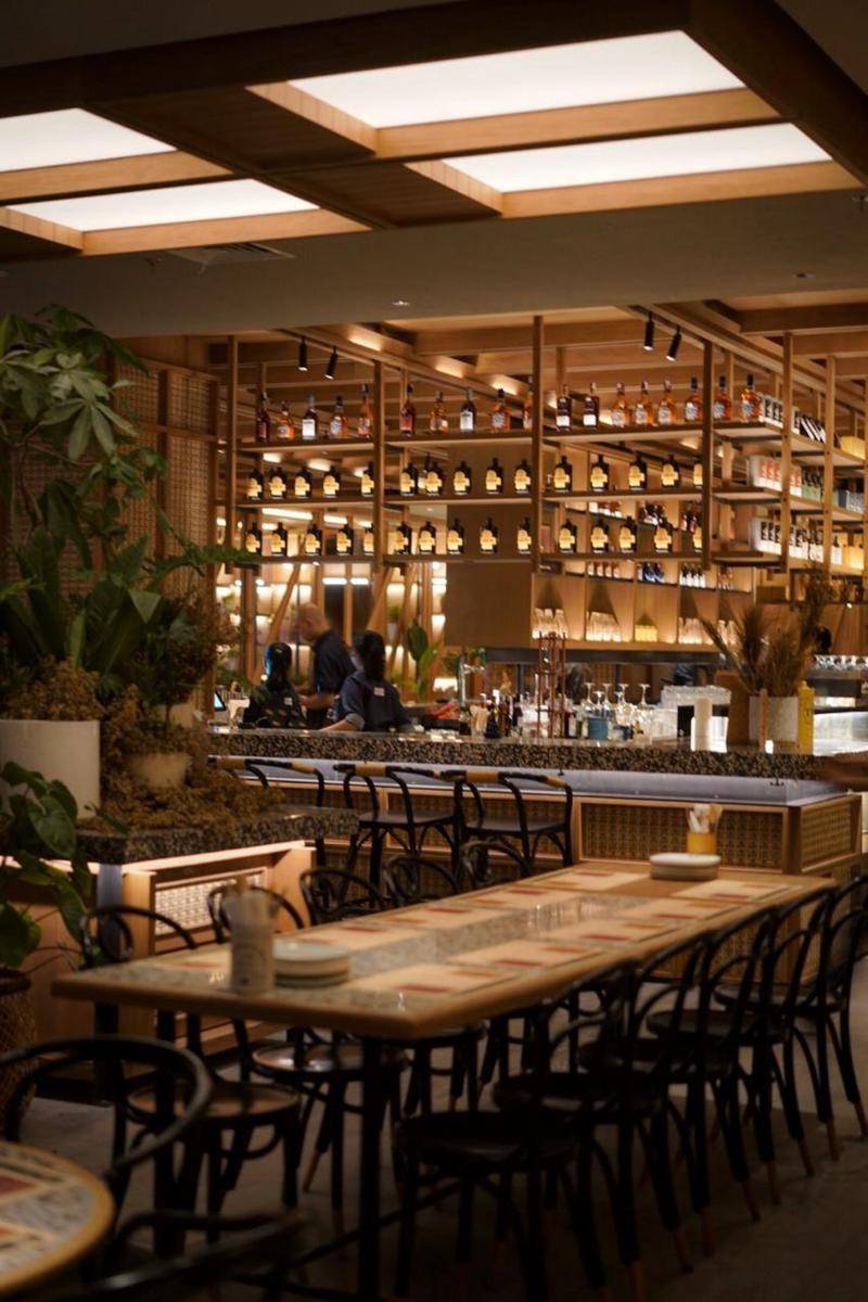 Dok. Social House