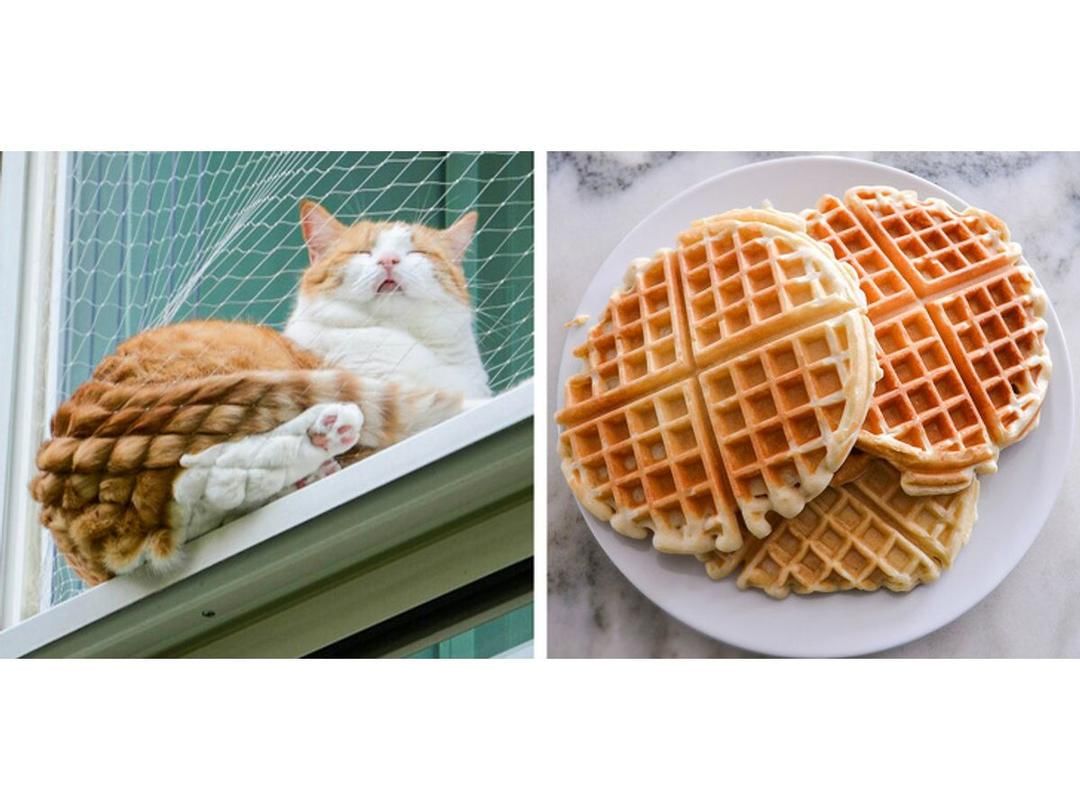 Imgur.com/ wearymalaise