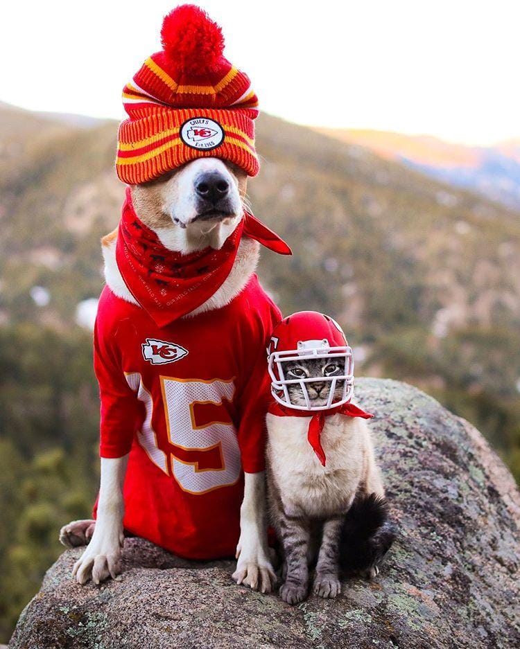 instagram.com/ henrythecoloradodog