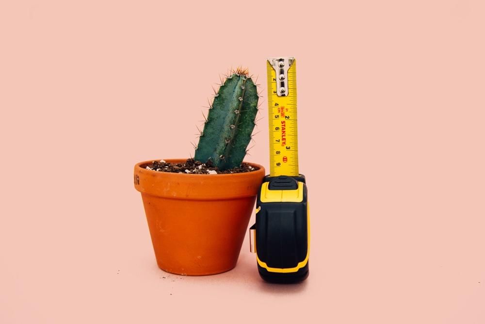 Unsplash.com/Charles Deluvio