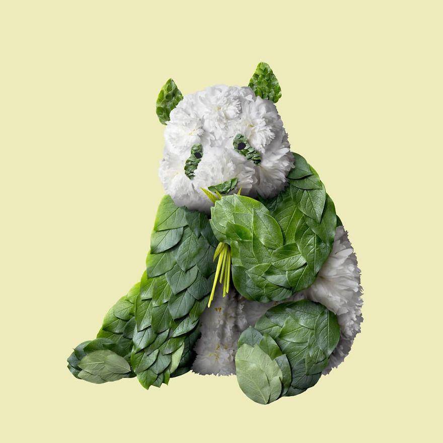 boredpanda.com