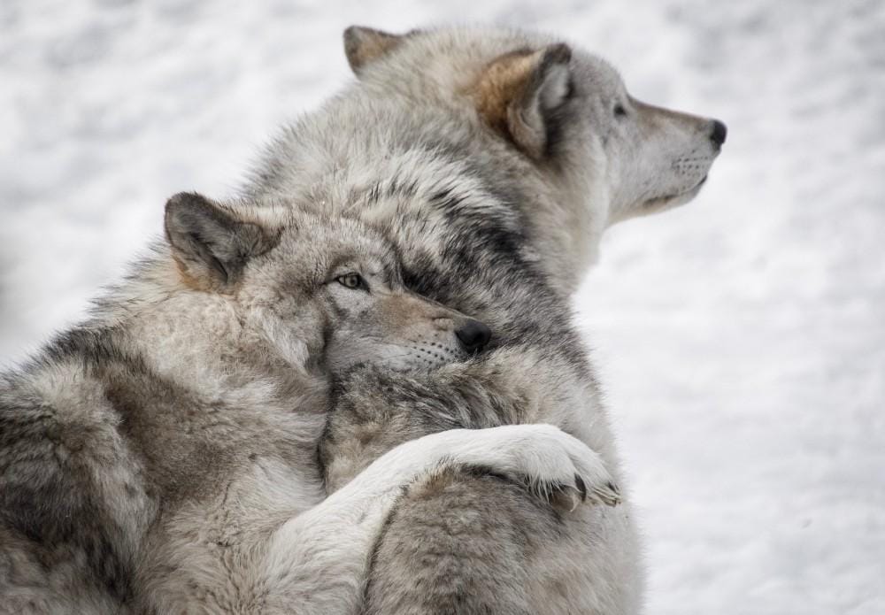 unsplash.com/YannickMenard