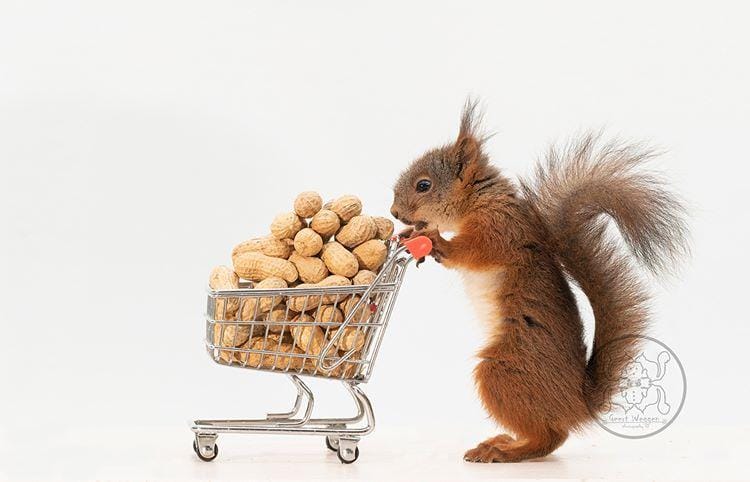 instagram.com/ geertweggen