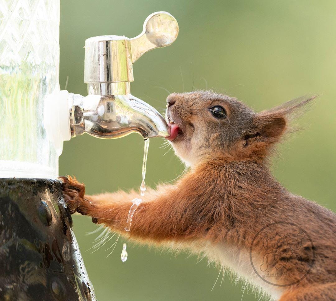 instagram.com/ geertweggen