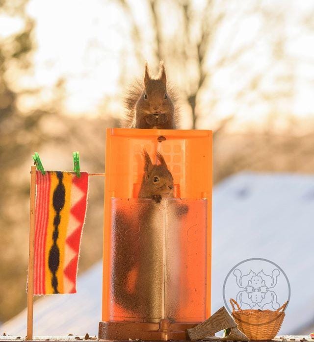 instagram.com/ geertweggen